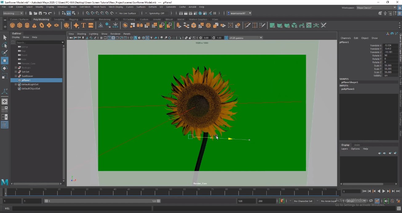 How To Render With A Transparent Background In Maya Arnold Using Green Screens Tutorial Amanda Morrison